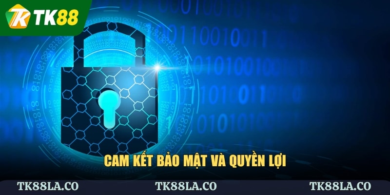 Cam kết bảo mật và quyền lợi