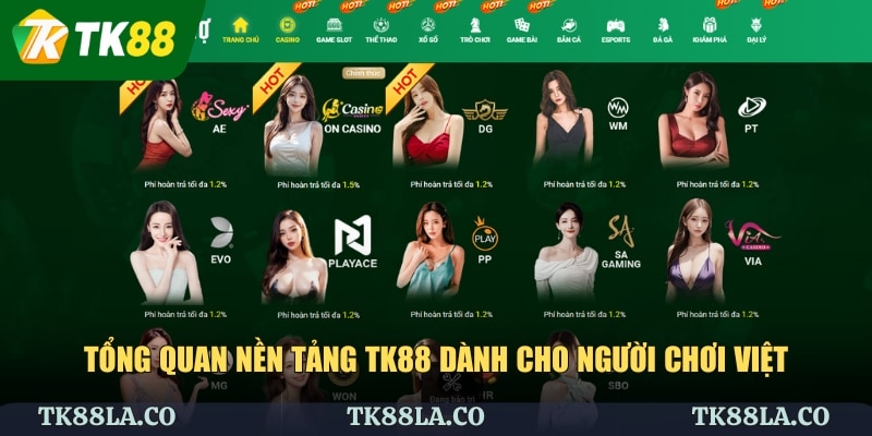 Tổng quan nền tảng TK88 dành cho người chơi Việt