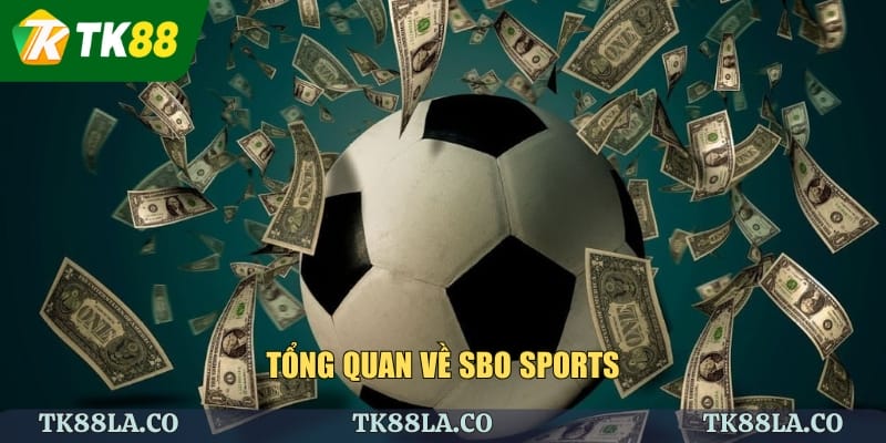 Tổng quan về Sbo Sports